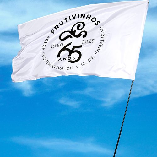 Frutivinhos 65 ANOS - Os Presidentes