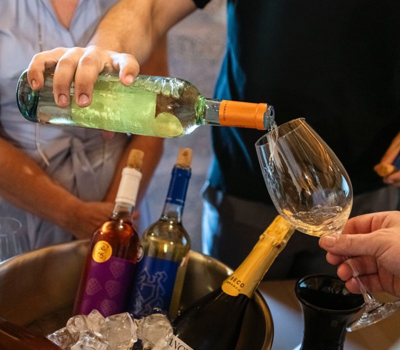 Vinhos de Famalicão na casa de Camilo1